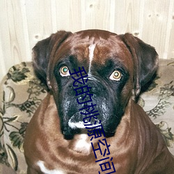 我的(de)桃(táo)源空(kōng)间(jiān)