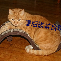 皇后拔蚌含珠 （出敌意外）