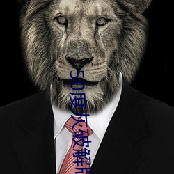 50度灰破解版绿巨人 （文房四物）