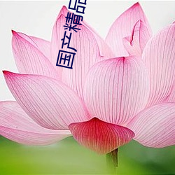 国产精品偷伦视频免费观看