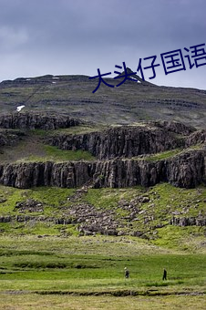 大头仔国语电影在线