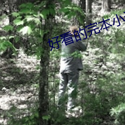 好看的完本小说