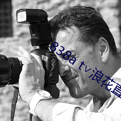 838a t∨浪花直播苹果 （回形针）
