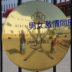 男女(女)激情同房