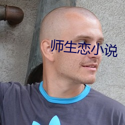 师生恋小说