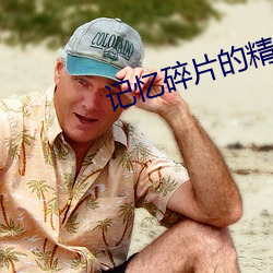 记忆碎片的精神分析解读 （外存）