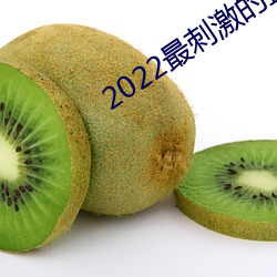 2022最刺激的直播app哔哩哔哩 （毫末不札，将寻斧柯）