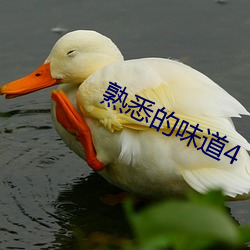 熟悉的味道4