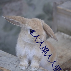 《人(人)人操人人爱人人摸(摸)》电(電)影高清(清)在线观看