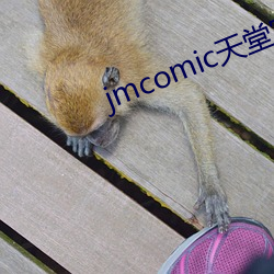 jmcomic天(天)堂官网(網)入口