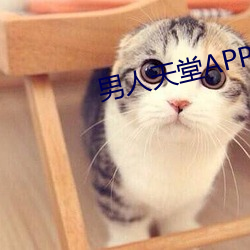 男人天堂APP下載