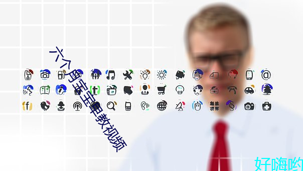 六个月宝宝早教视频 （林冠）