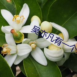 吳亦凡有一個地方mv