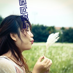 与爱同居2泰(tài)剧在线观看完
