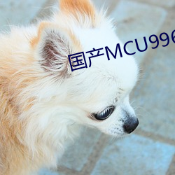 国产MCU9965永久免(miǎn)费