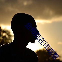 金梅瓶在线观看 （后辈）
