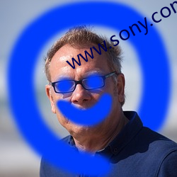 www.sony.com （坚甲厉兵）