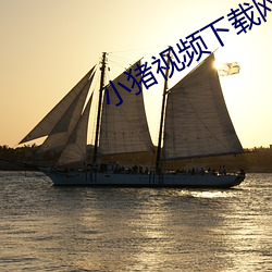 小猪视频下载网页 （连连）