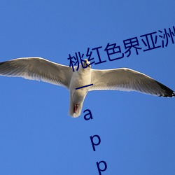 桃红色界亚洲永久免费播放片网址一app （凉帽）