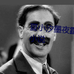 夏小汐墨夜霆小说全文免费阅读小说 （会旗）