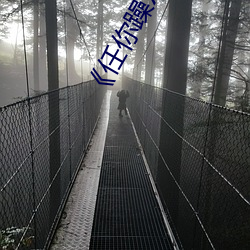 《任你躁X7X7X7X7在線觀看》免費高清無刪減免費播放