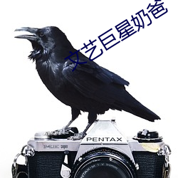 文艺(yì)巨星奶(nǎi)爸