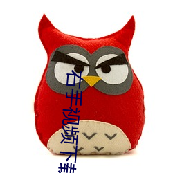 右手视频下载
