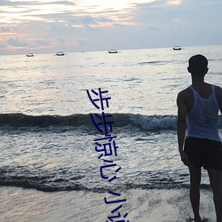 步步惊心 小说