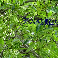 金年会 | 诚信至上金字招牌