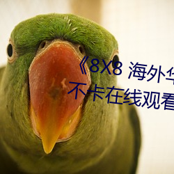 《8X8 海外华人永久免费》免费不卡在线观看 （朗朗上口）
