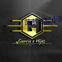 菠(菠)萝包轻(輕)小说