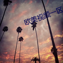 欧美视频一区 （一鼻孔出气）