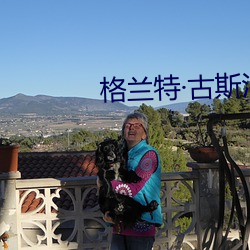 格兰特古斯汀(tīng)