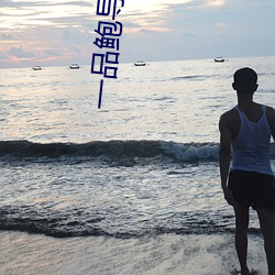 一品(品)鲍(鮑)导航(航)app