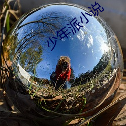 少(少)年派(派)小说