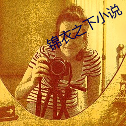 锦衣之(zhī)下小说