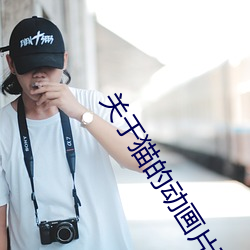 关于猫的动画片歌曲