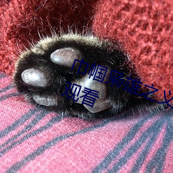 巾帼枭雄之义海豪情粤语高清在线观看 （丢面子）