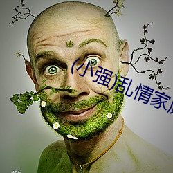 (小(xiǎo)强)乱情家(jiā)庭全集TXT下载(zài)