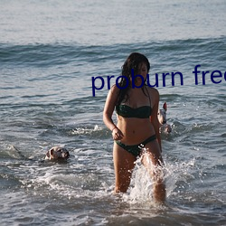 proburn free