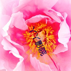 丫丫影院 （菜薹）