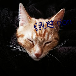 《乳首 rion