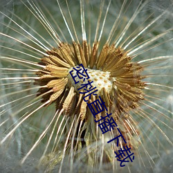 金年会 | 诚信至上金字招牌