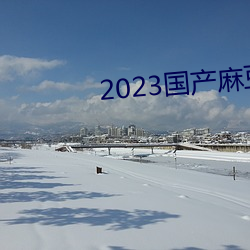 2023国产鶹冻传媒入口 不拘一格