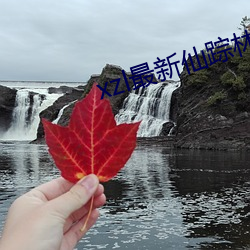 xzl最(zuì)新仙踪林视频欢(huān)迎您