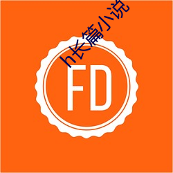 h长篇小说