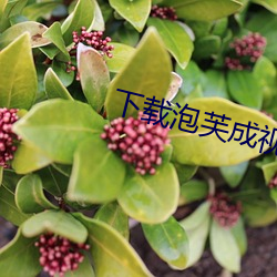 下载泡芙成视频人收费不