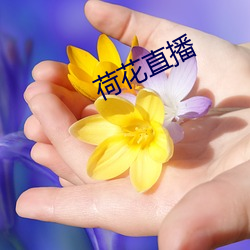 荷花直播 （揭露）