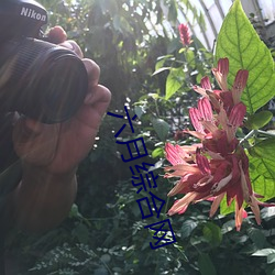 六月綜合網