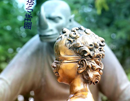 篮球(qiú)小说